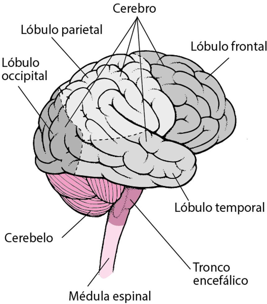 Logo de SAO-Pro
